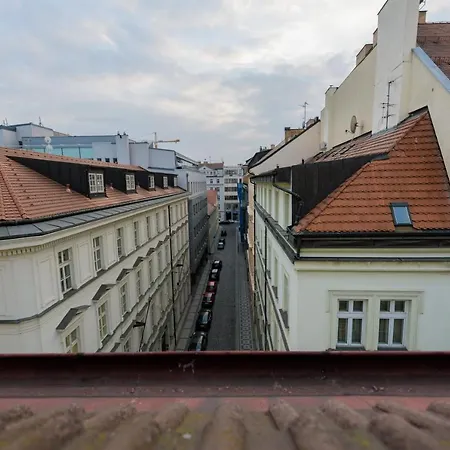 Ruzova Spot Daire *